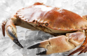 Portugalia_Food-404_ret